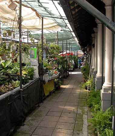 36_Paa_markedet_i_Porto