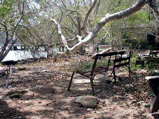 20_Var_det_her_dei_spedalske_sat_og_saa_utover_havet