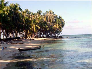 11_kuna-kano_paa_stranda